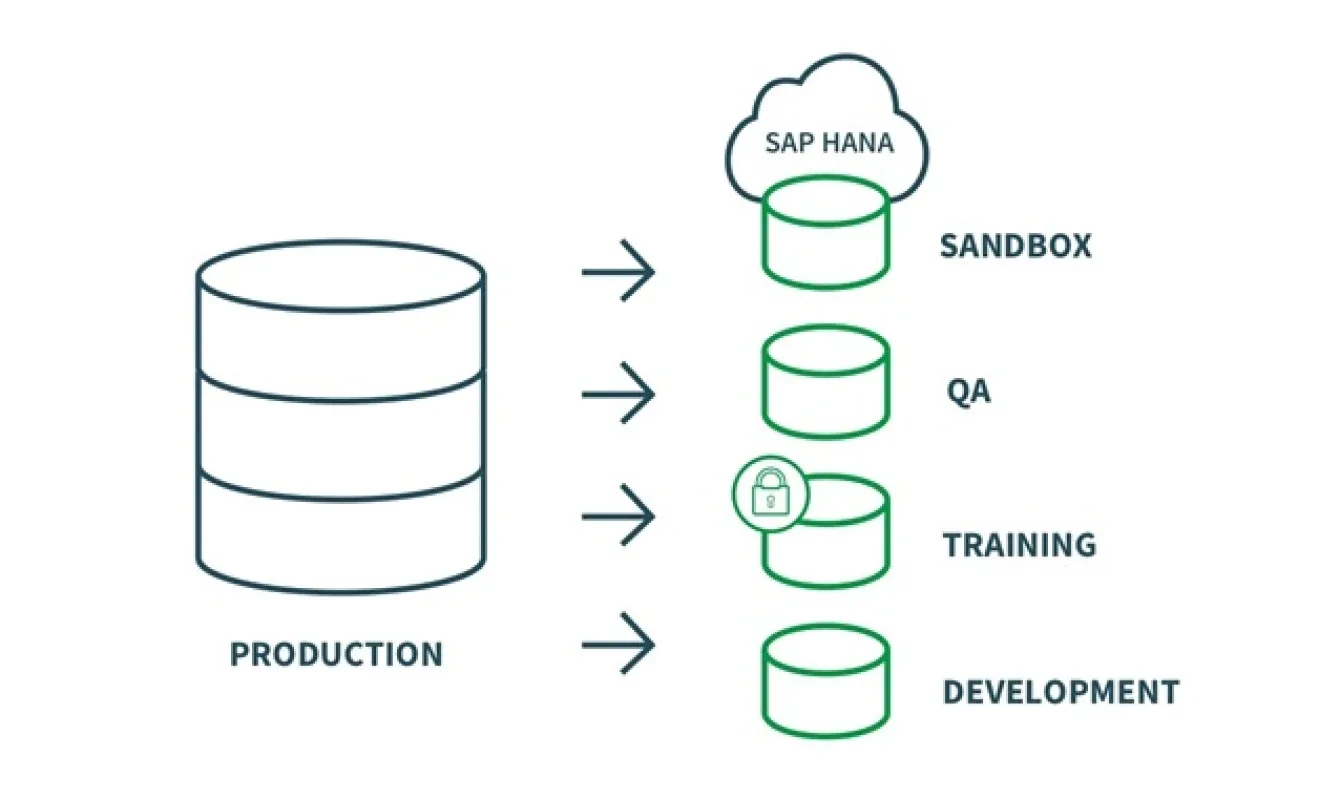 Diagrama de Qlik Gold Client que distribuye datos de producción hacia ambientes SAP de pruebas, capacitación y desarrollo